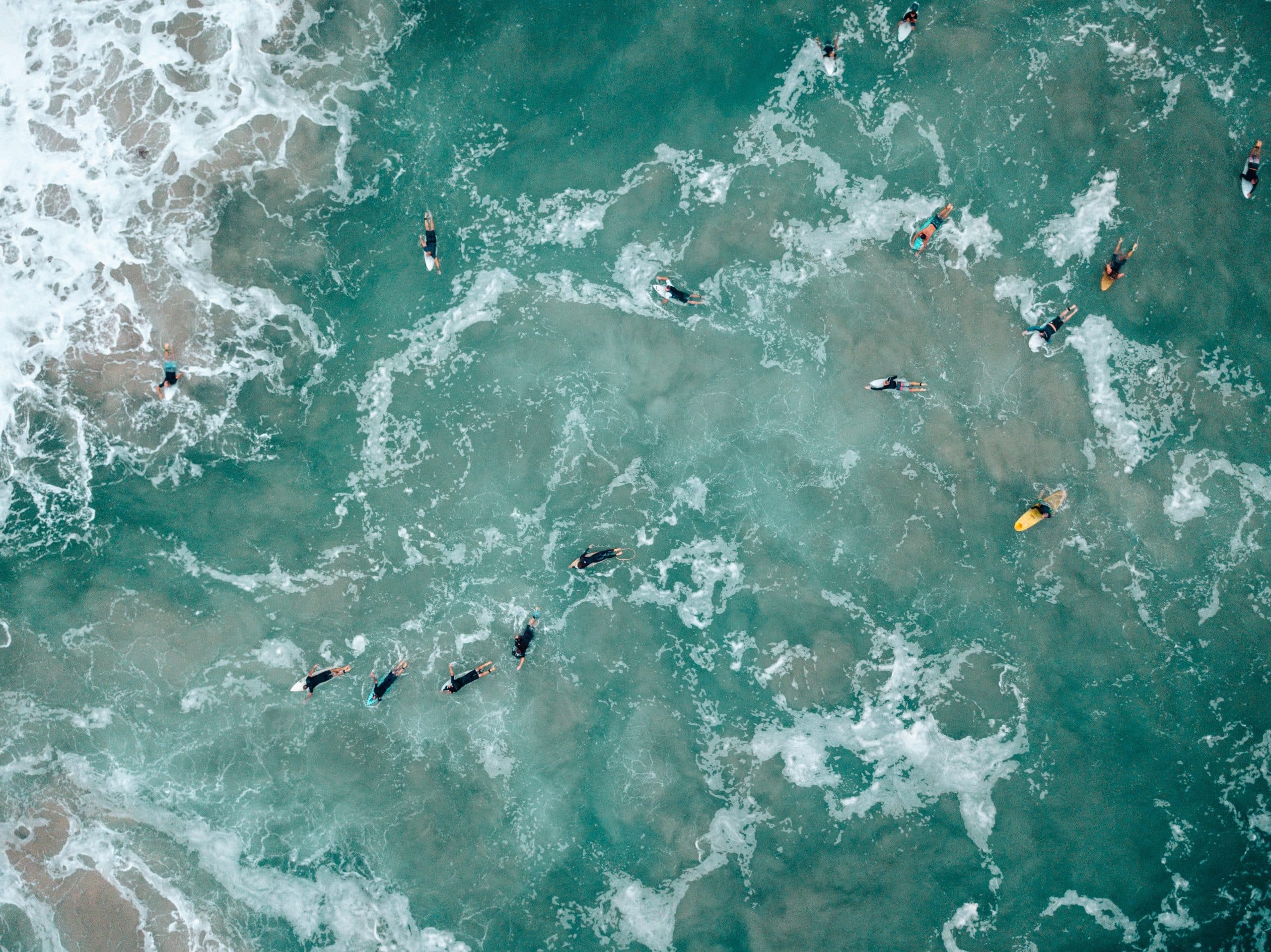 Central Coast aerial shot of surfers at beach